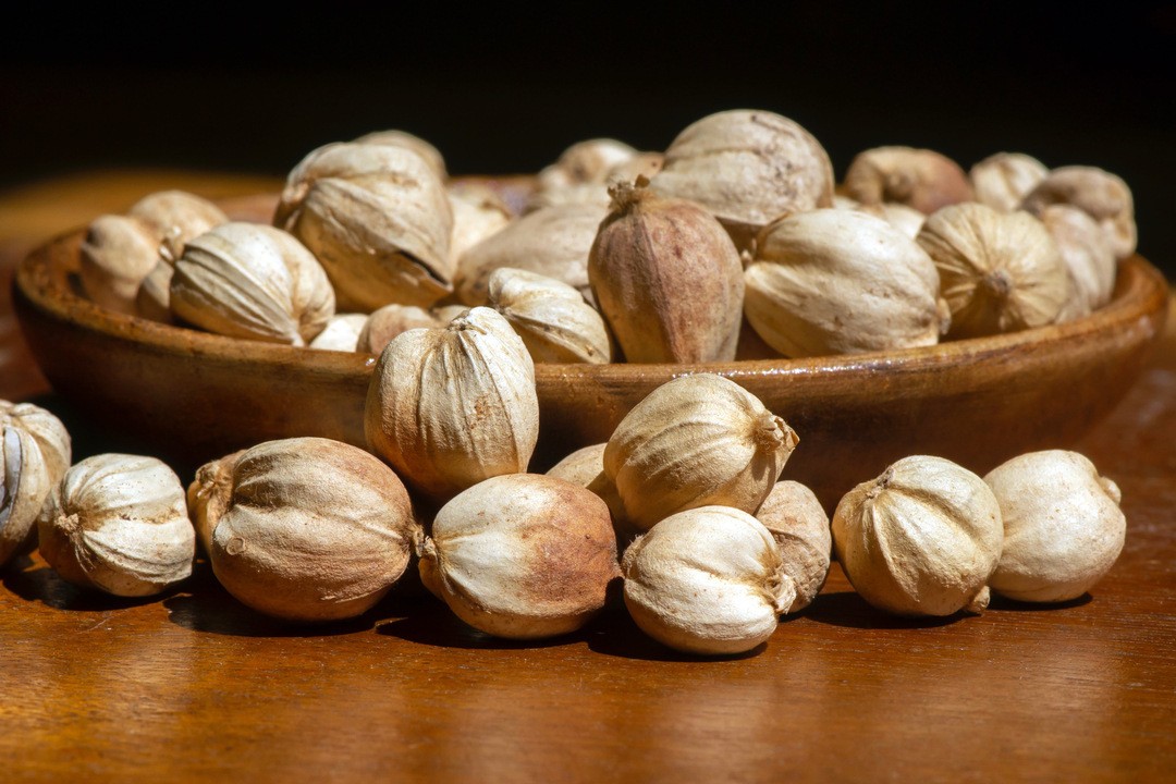 Cardamom